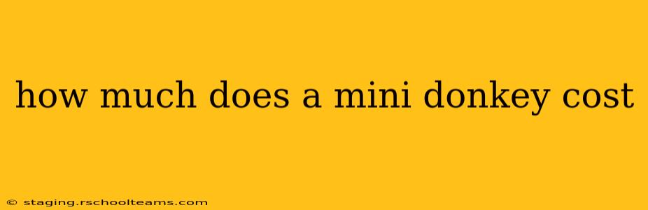 how much does a mini donkey cost