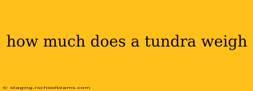 how much does a tundra weigh