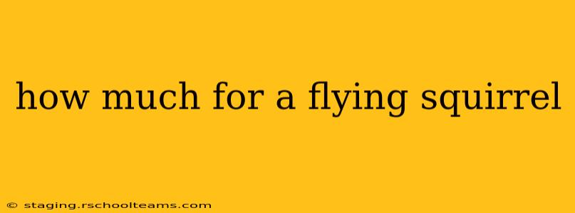 how much for a flying squirrel