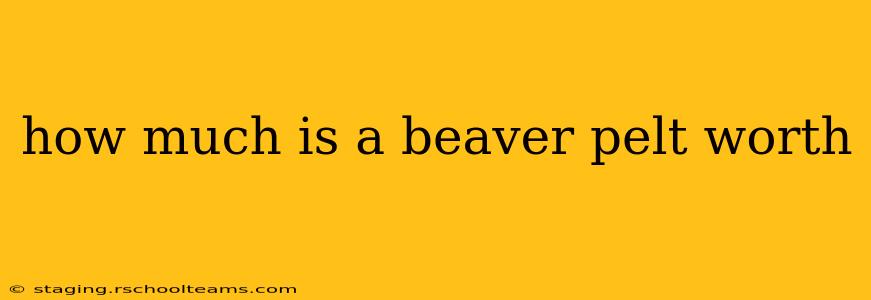 how much is a beaver pelt worth