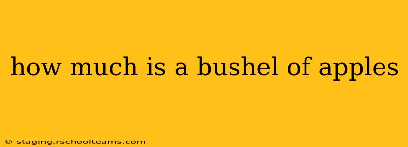 how much is a bushel of apples