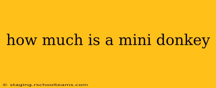 how much is a mini donkey