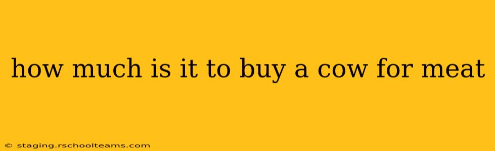 how much is it to buy a cow for meat
