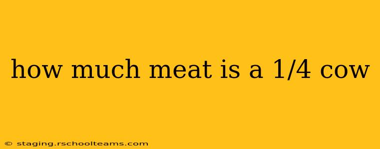 how much meat is a 1/4 cow