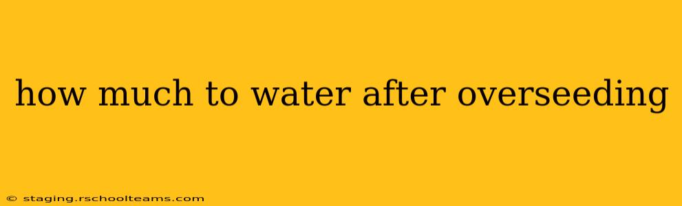 how much to water after overseeding