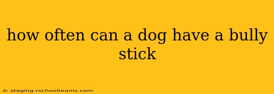 how often can a dog have a bully stick