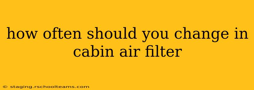 how often should you change in cabin air filter