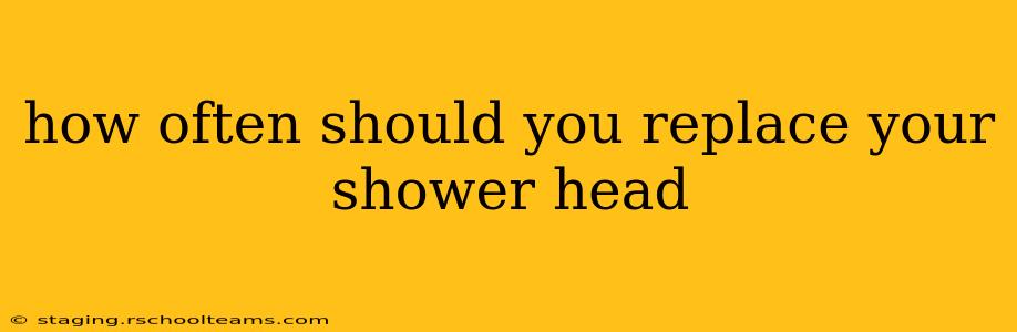 how often should you replace your shower head