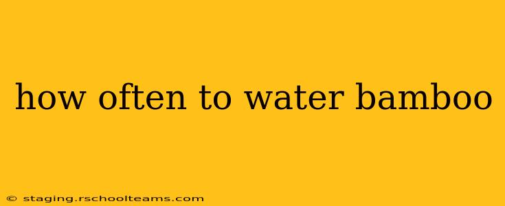 how often to water bamboo