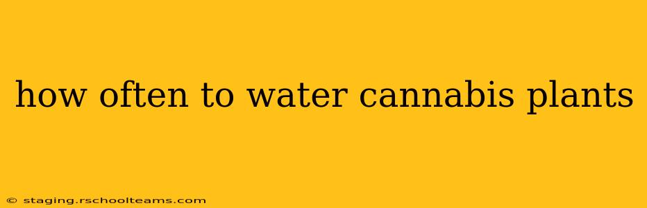how often to water cannabis plants