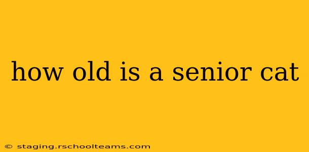 how old is a senior cat
