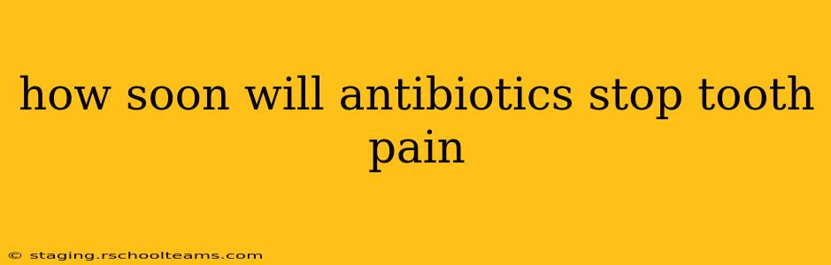 how soon will antibiotics stop tooth pain