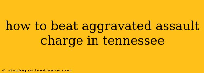 how to beat aggravated assault charge in tennessee