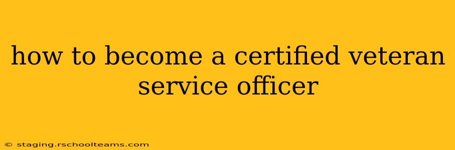 how to become a certified veteran service officer