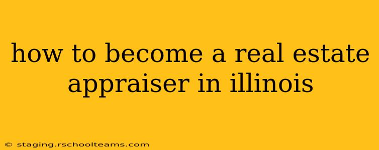 how to become a real estate appraiser in illinois