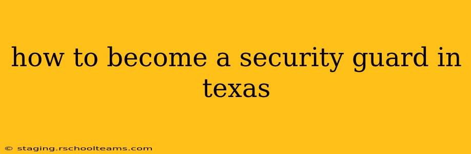 how to become a security guard in texas