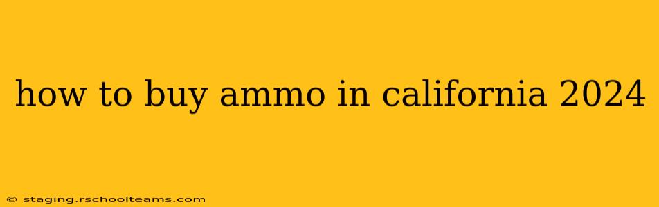 how to buy ammo in california 2024