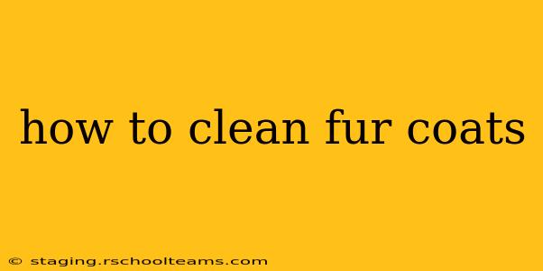 how to clean fur coats