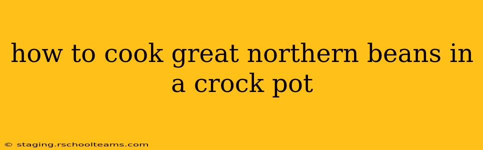 how to cook great northern beans in a crock pot