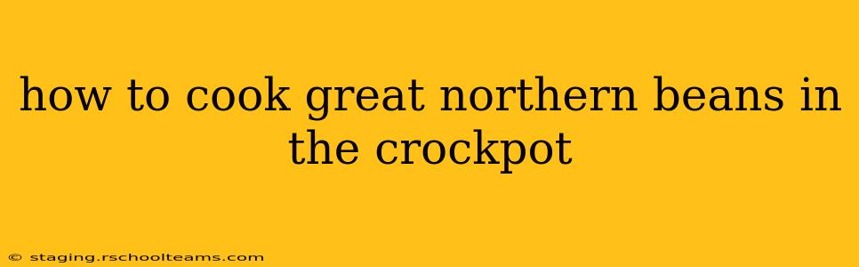 how to cook great northern beans in the crockpot