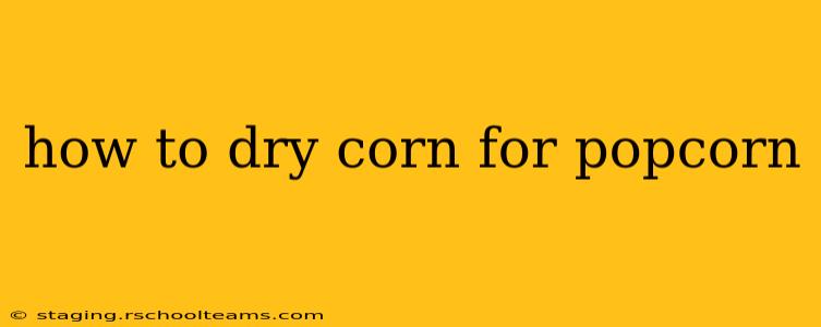 how to dry corn for popcorn