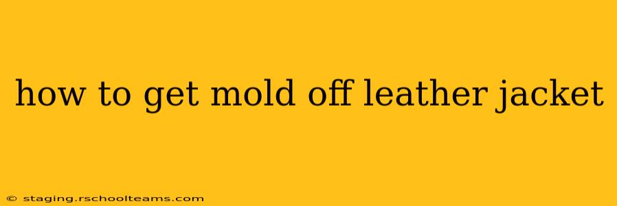 how to get mold off leather jacket