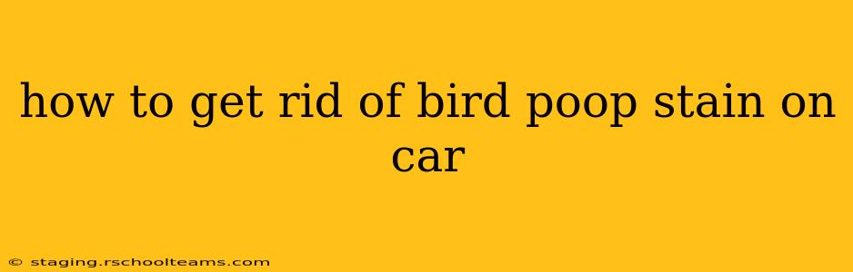 how to get rid of bird poop stain on car