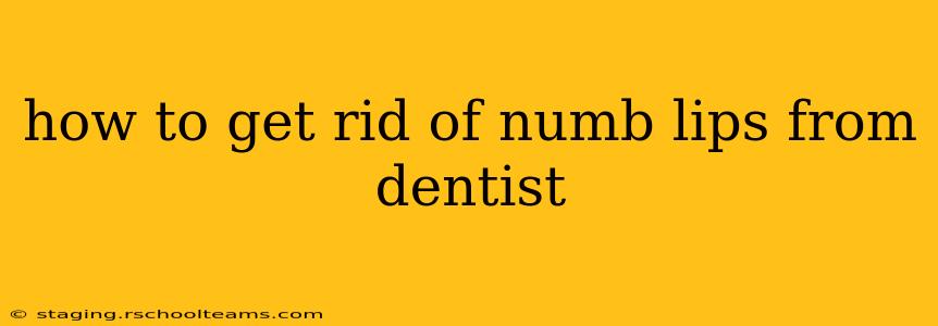 how to get rid of numb lips from dentist