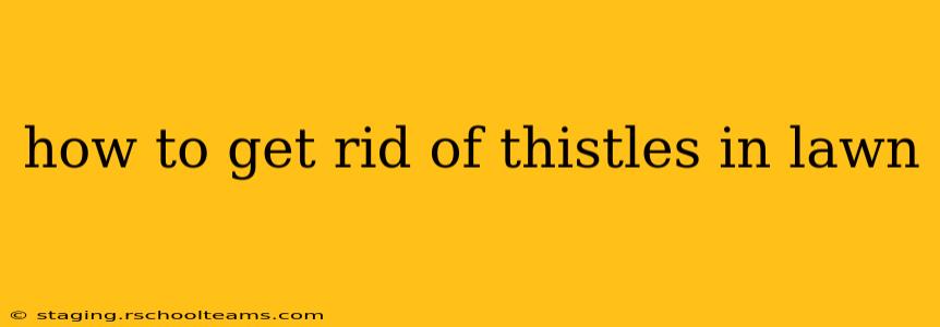 how to get rid of thistles in lawn