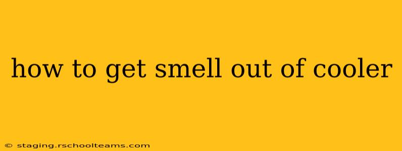 how to get smell out of cooler