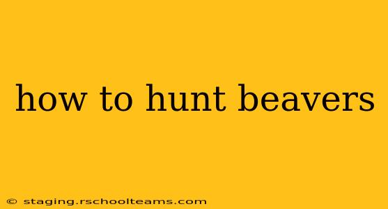 how to hunt beavers
