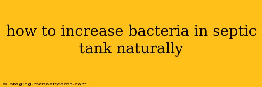 how to increase bacteria in septic tank naturally