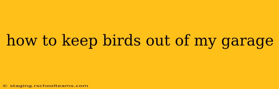 how to keep birds out of my garage