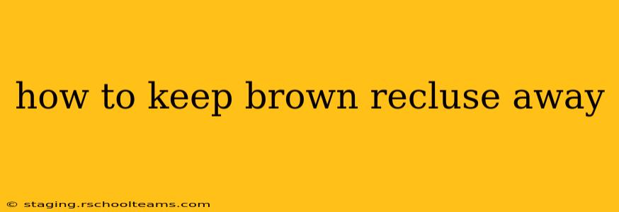 how to keep brown recluse away