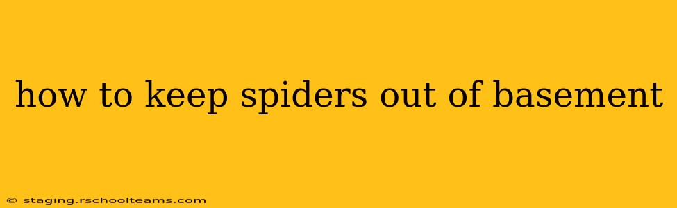 how to keep spiders out of basement