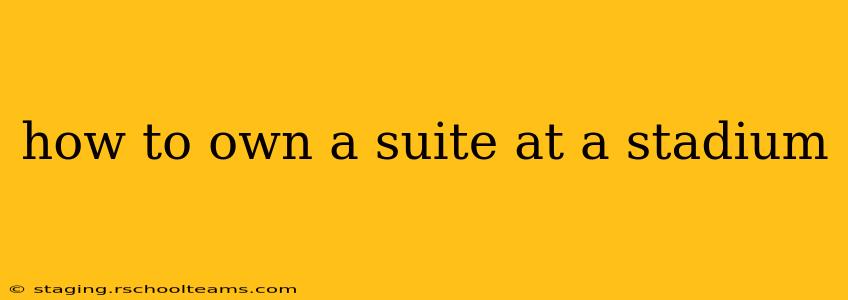 how to own a suite at a stadium