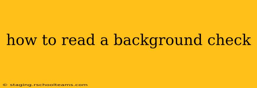 how to read a background check