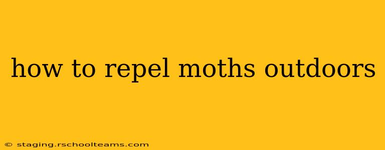 how to repel moths outdoors