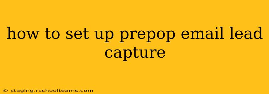 how to set up prepop email lead capture