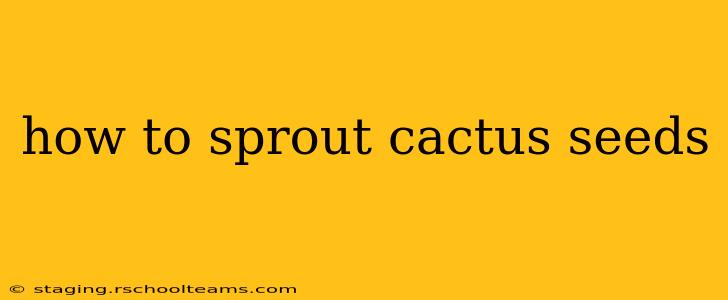 how to sprout cactus seeds