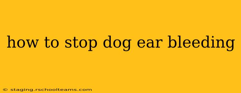 how to stop dog ear bleeding