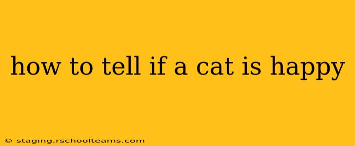 how to tell if a cat is happy