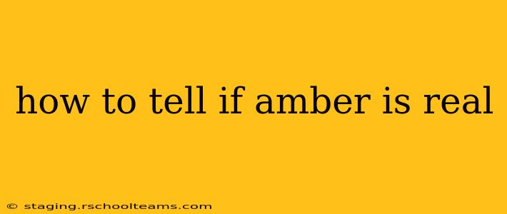 how to tell if amber is real