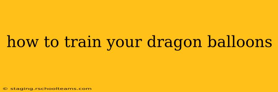 how to train your dragon balloons