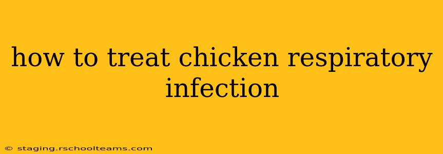 how to treat chicken respiratory infection