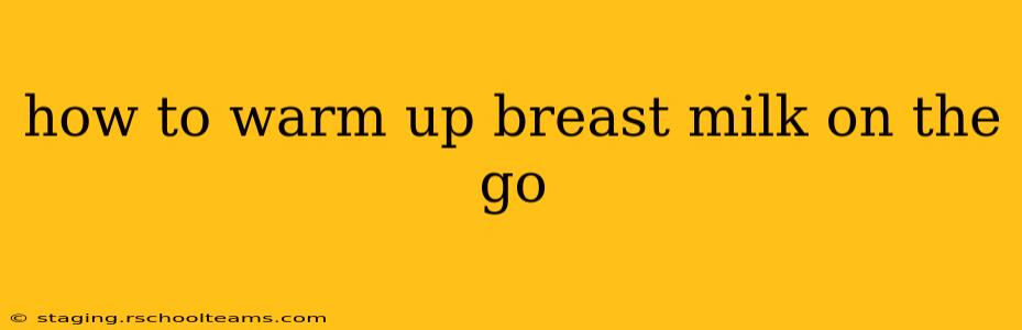 how to warm up breast milk on the go