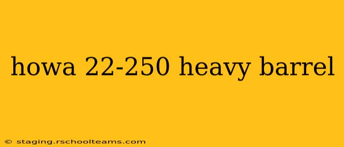 howa 22-250 heavy barrel
