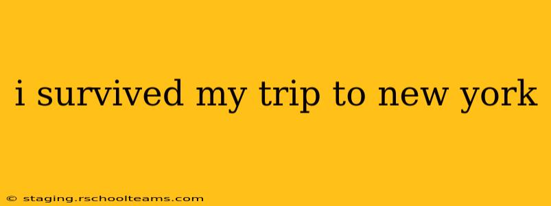 i survived my trip to new york