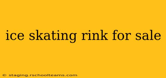 ice skating rink for sale