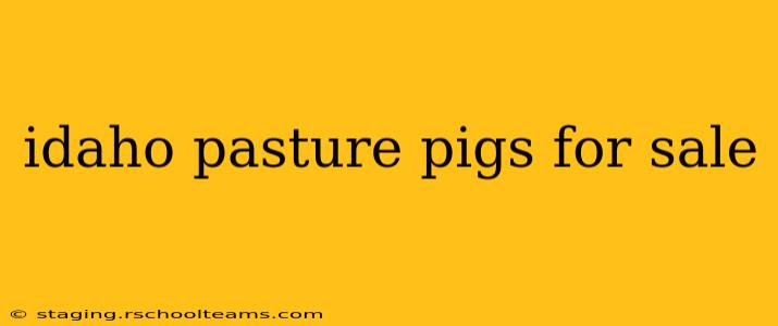 idaho pasture pigs for sale